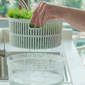 Kit Organizador e Secador de Salada OU 5,5 Litros