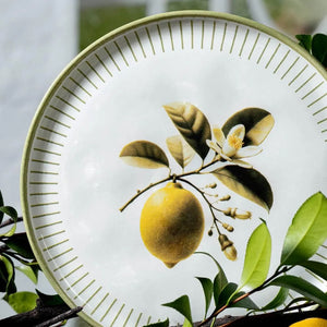 Prato de Sobremesa Bio Lemon Porto Brasil