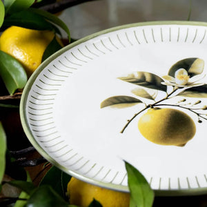 Prato de Sobremesa Bio Lemon Porto Brasil