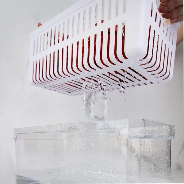 Organizador de geladeira com cesto Ou 5L Linha Clear Fresh